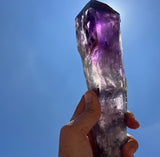 Crystals ~ Grand Amethyst Sceptor 1.34lb