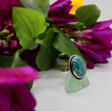 Rings ~ Oyster Turquoise 925 Sterling Silver ALL SIZE PRE ORDER ONLY!