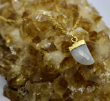 Moonstone Horn Pendant 14K Gold Necklace