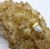 Moonstone Horn Pendant 14K Gold Necklace