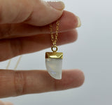 Moonstone Horn Pendant 14K Gold Necklace