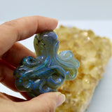 Crystals ~ Labradorite Octopus