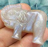 Moonstone Elephant Carving – Crystal for Intuition, Healing & Wise Energy
