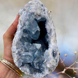 Crystals ~ Celestite 3656 grams