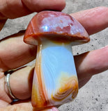 Crystals~ Carnelian Sardonyx Mushroom 45.3g