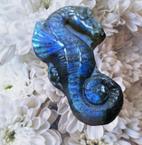 Crystals~ Labradorite Seahorse Carving