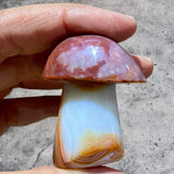 Crystals~ Carnelian Sardonyx Mushroom 45.3g