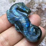 Crystals~ Labradorite Seahorse Carving