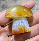 Crystals ~ Carnelian Sardonyx Mushroom 51.5g