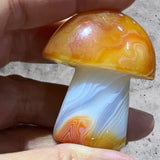 Crystals ~ Carnelian Sardonyx Mushroom 51.5g