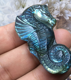 Crystals~ Labradorite Seahorse Carving