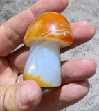 Crystals ~ Carnelian Sardonyx Mushroom 51.6