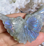Crystals ~ Labradorite Lavender Flash Butterfly
