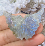 Crystals ~ Labradorite Lavender Flash Butterfly