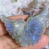 Crystals ~ Labradorite Lavender Flash Butterfly