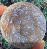 Crystals ~ Yellow Moonstone Lion Carving