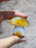 Crystals ~ Carnelian Sardonyx Mushroom 42.4g