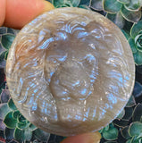 Crystals ~ Yellow Moonstone Lion Carving