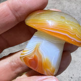 Crystals ~ Carnelian Sardonyx Mushroom 42.4g