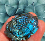 Crystals ~ Labradorite Blooming Lotus