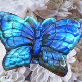 Crystals~ Labradorite Butterfly Carving