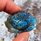 Crystals ~ Labradorite Blooming Lotus