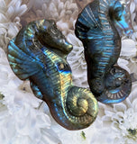 Crystals~ Labradorite Seahorse Carving