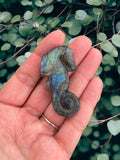 Crystals~ Labradorite Seahorse Carving