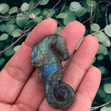 Crystals~ Labradorite Seahorse Carving