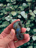 Crystals~ Labradorite Seahorse Carving