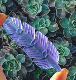 Crystals ~ Fluorite Feather