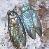 Crystals~ Labradorite Cicada Carving