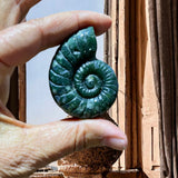 Crystals ~ Moss Agate Conch 45g