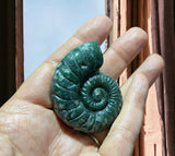Crystals ~ Moss Agate Conch 45g