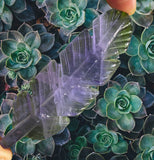 Crystals ~ Fluorite Feather