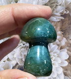 Crystals ~ Moss Agate Mushroom