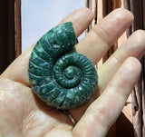 Crystals ~ Moss Agate Conch 45g