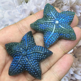 Labradorite Carving of Starfish of the Sea