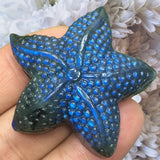Labradorite Carving of Starfish of the Sea