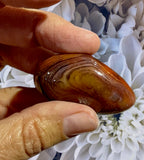 Crystals ~ Carnelian Sardonyx Egg