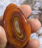 Crystals ~ Carnelian Sardonyx Egg