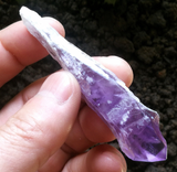 Crystals ~ Mini Amethyst Sceptor