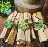 Palo Santo Bundle with Fresh succulent
