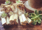Palo Santo Bundle with Fresh succulent