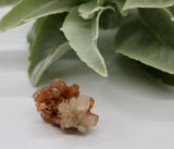 Crystals ~ Aragonite Cluster