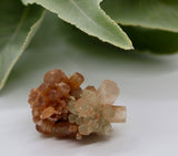 Crystals ~ Aragonite Cluster