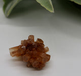 Crystals ~ Aragonite Cluster