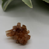 Crystals ~ Aragonite Cluster