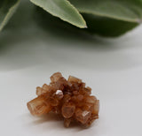 Crystals ~ Aragonite Cluster
