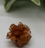 Crystals ~ Aragonite Cluster